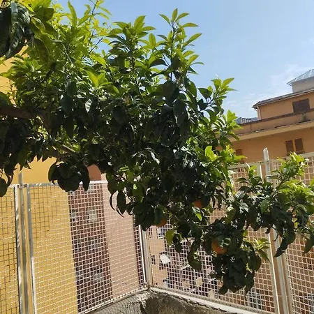 Apartamento La Casa Di Bianca